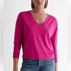 Express Fuchsia Knit V-neck Top